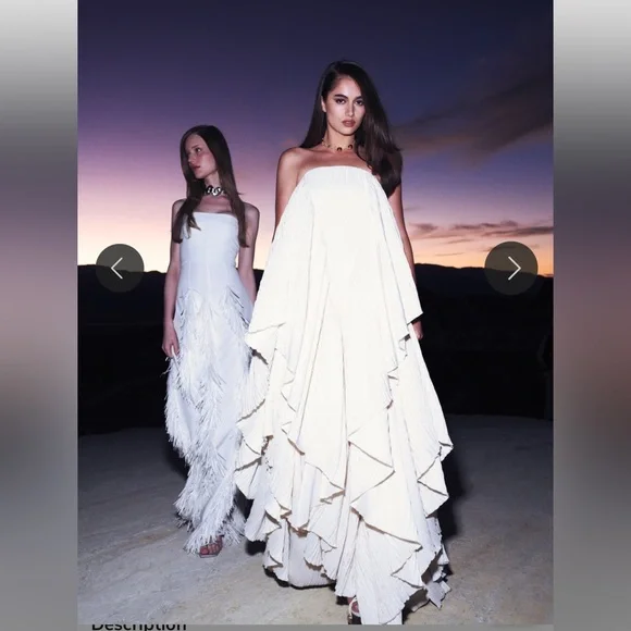 Cult Gaia Calypso Gown - Picture 6 of 6